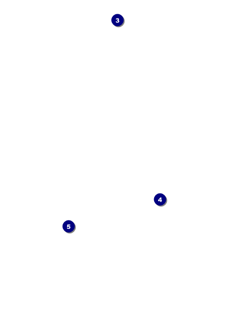 Winnie Film Fest 2021 Postcard Mailer Back Field Markers